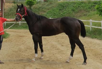 ������� ����