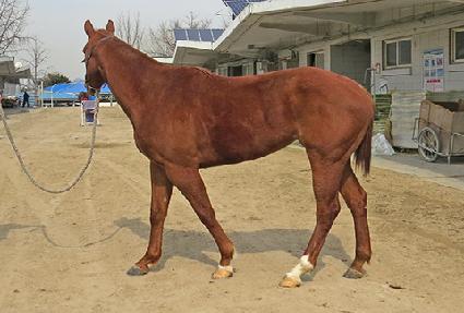 �������� ����