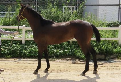 �ϱ��ȣ ����