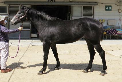 ����Ʈ����� ����