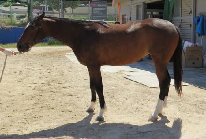 �ǿ������ϵ� ����