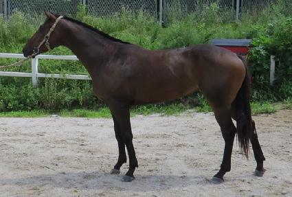 ��αݼ� ����