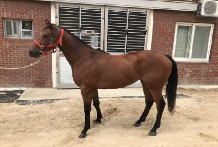 ������ ����