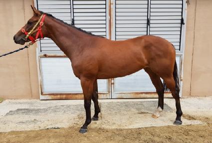 ������� ����