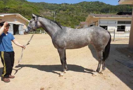 ���ڹ� ����