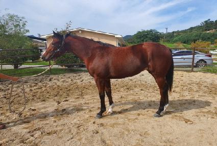 �Ϲٳ����� ����