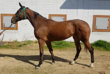 �������� ����