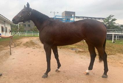 ��ũ���Ϸ��� ����