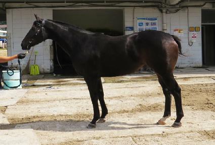 ����̸��� ����