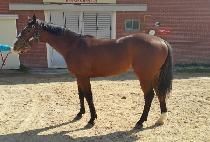 �鿡�̽� (TOP ACE) ����