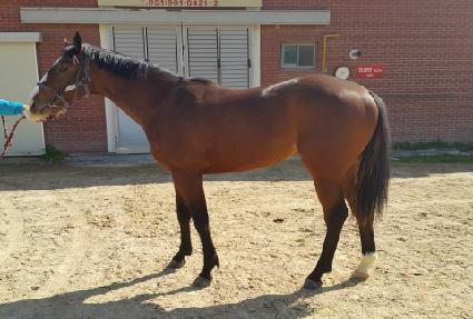 �鿡�̽� ����