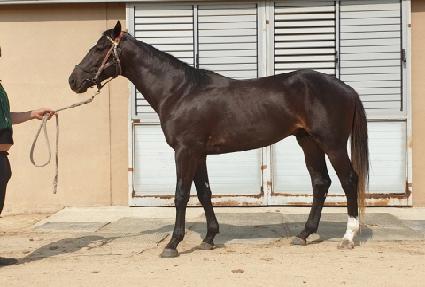 ���̾�Ʈ�Ŀ� ����