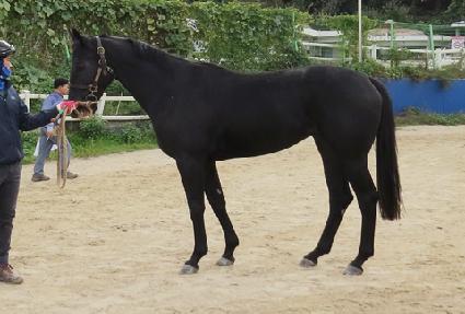 �����¡���� ����