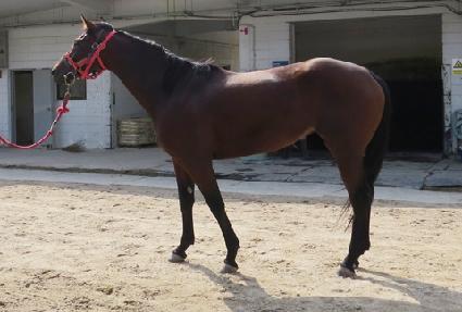 �ӴϽ��� ����