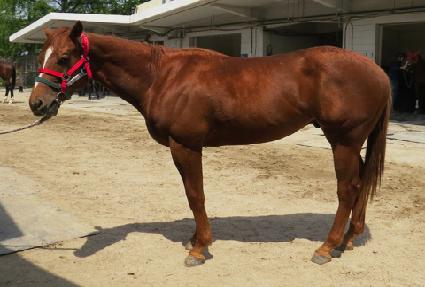 �Ѷ���μ� ����