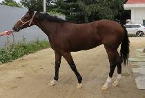 POTENTIAL ENERGY picture