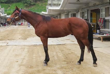 �Ӵ϶��� ����