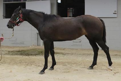 ������ ����