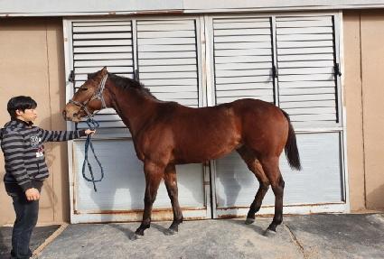 �����ø�Ʈ ����