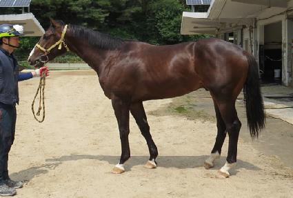 ������ ����