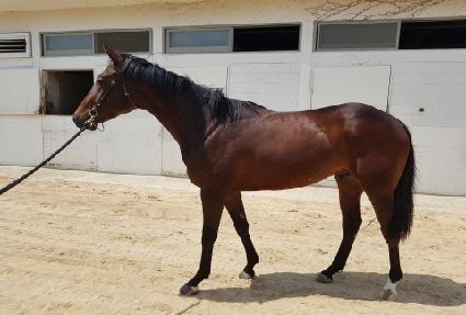 �и������Ŀ ����