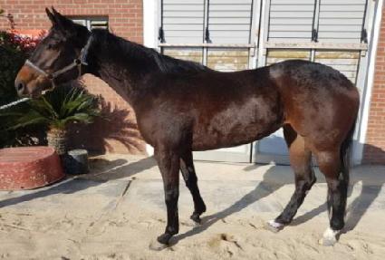 ��ĵ���� ����