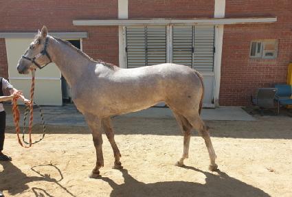 Ʈ�������� ����