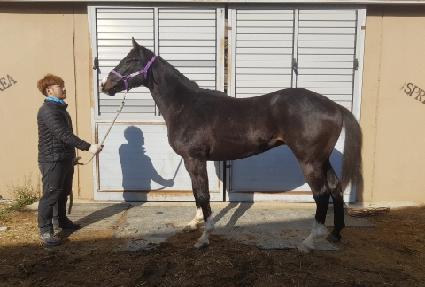 Ƽ�� ����