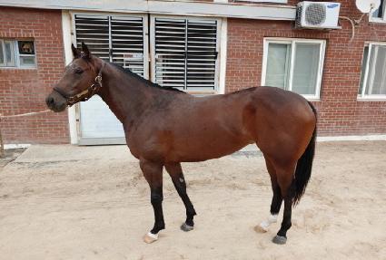 �λ꿡�̽� ����