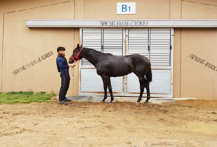 �۽�Ʈ��Ÿ ����