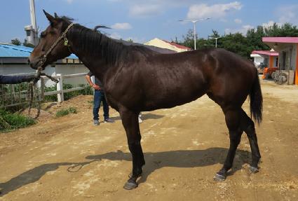 �۷θ������� ����