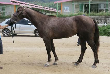 �������� ����