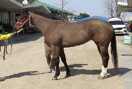 ���̿����� ����