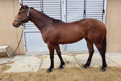 ���̾Ÿ ����