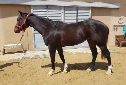 ��õ���� ����