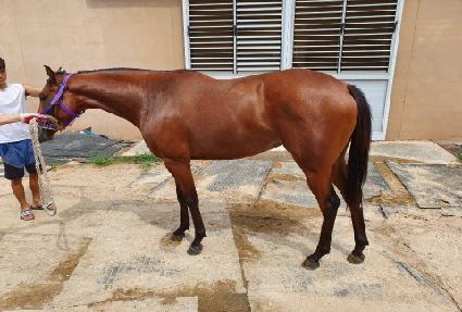 �ǽ��� ����