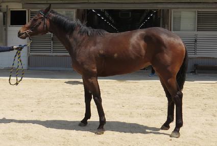 �ʰ��� ����