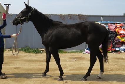 ��ٵ帮�� ����