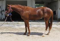 ����ȸ�� (SPECIAL MORNING) ����