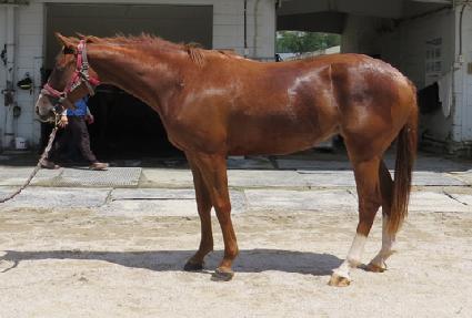 ����ȸ�� ����