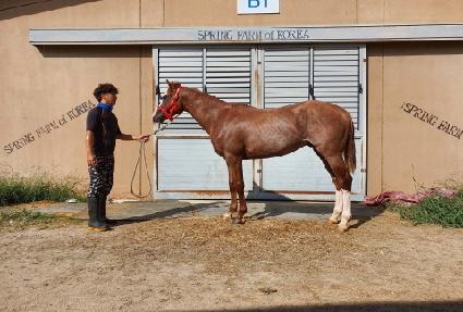 �κ������� ����