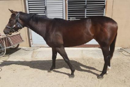 �÷��ӿ��Ǽ� ����