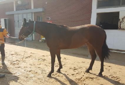 �׷��忩�� ����