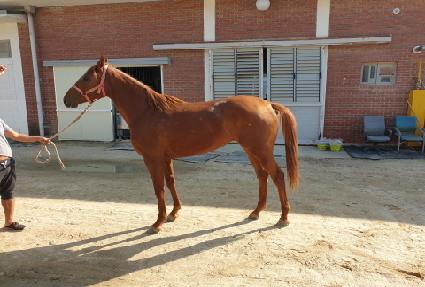 Ű�÷��̾� ����