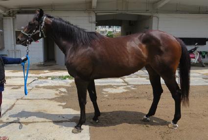 ��������� ����