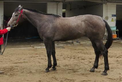 ���̼� ����