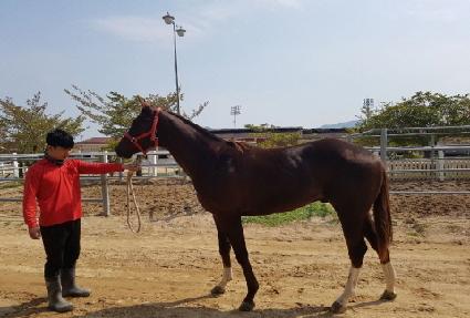 ĸƾ���ڽ� ����