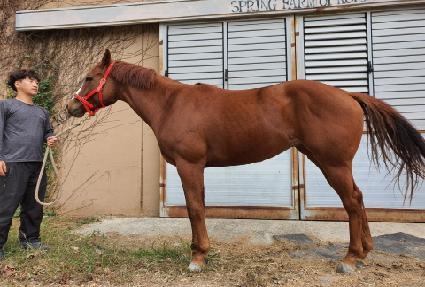 ���̽��Ǳ�� ����