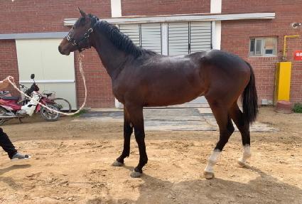 �̽��͹뷯 ����