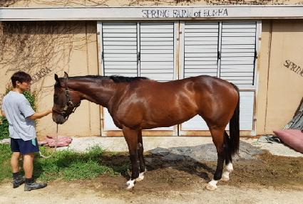 �����̽�ĵ�� ����